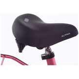 Alpina Cargo meisjesfiets 16 inch - Berry Red Matt