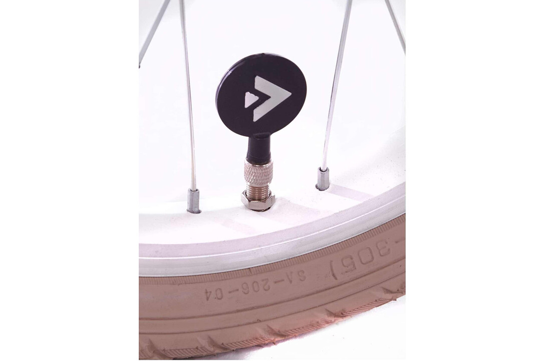 Alpina Cargo meisjesfiets 16 inch - Berry Red Matt