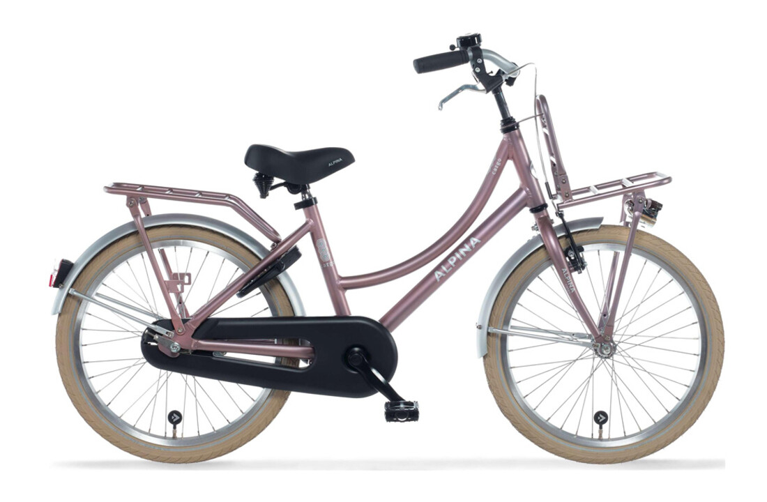 Alpina Cargo meisjesfiets 20 inch - Wood Rose Matt