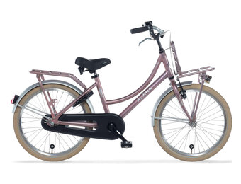 Alpina Cargo meisjesfiets 20 inch - Wood Rose Matt