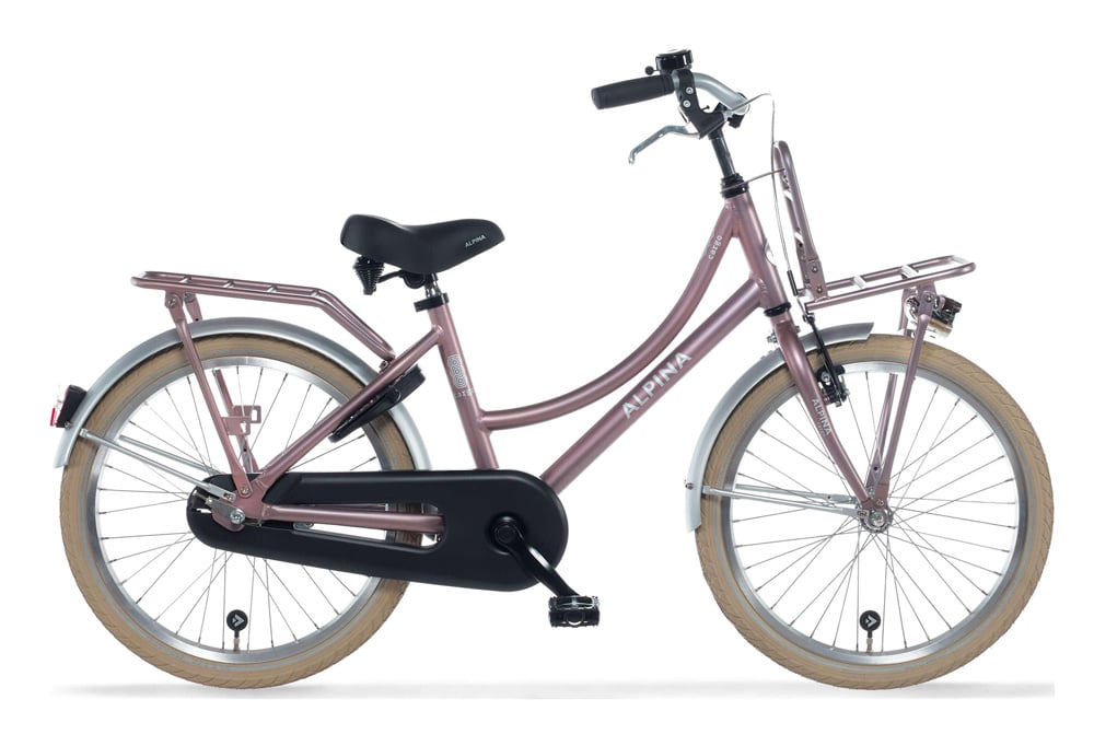 Alpina Cargo meisjesfiets 20 inch - Wood Rose Matt