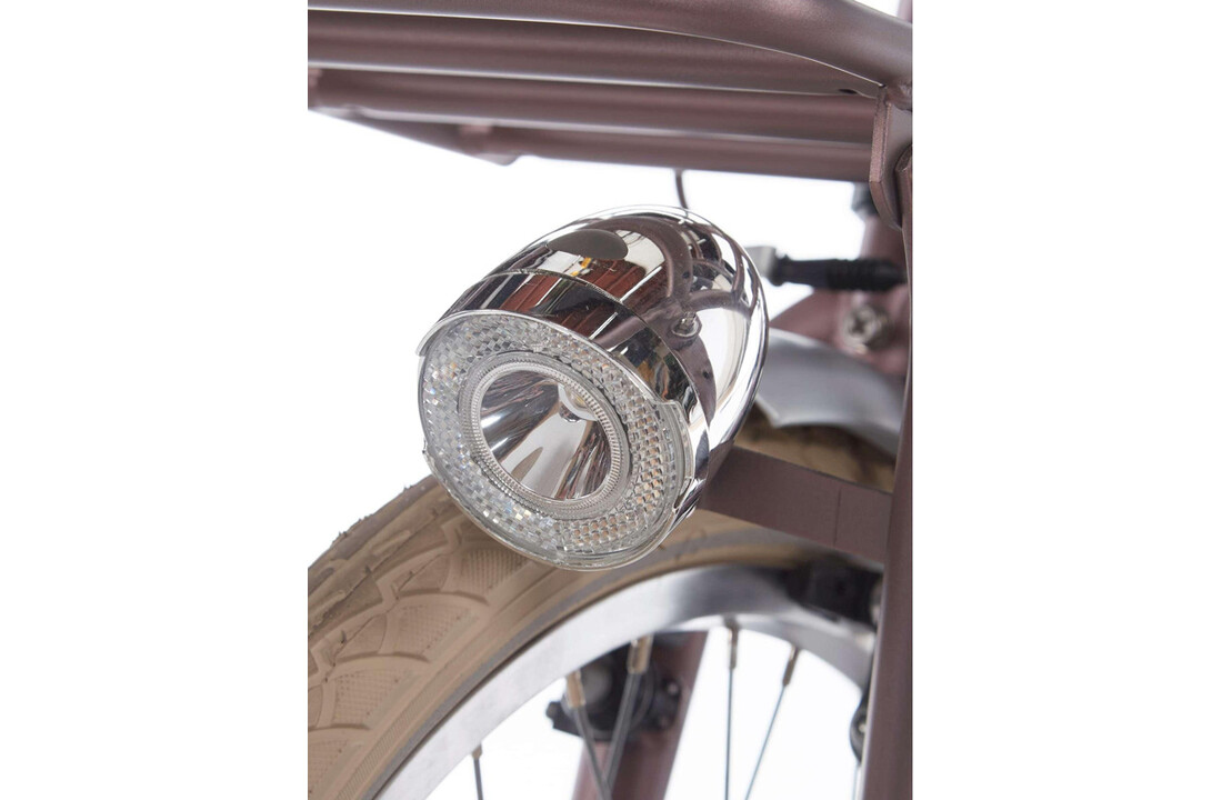 Alpina Cargo meisjesfiets 20 inch - Wood Rose Matt