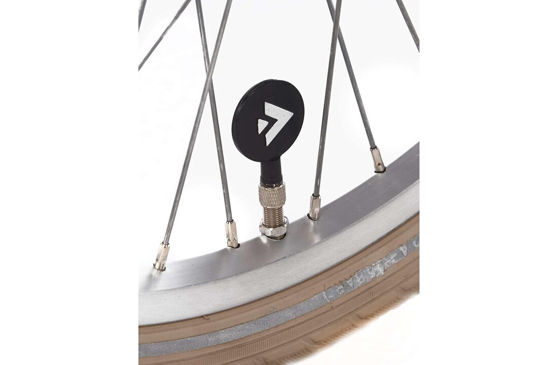 Alpina Cargo meisjesfiets 20 inch - Wood Rose Matt