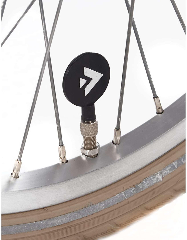 Alpina Cargo meisjesfiets 20 inch - Wood Rose Matt