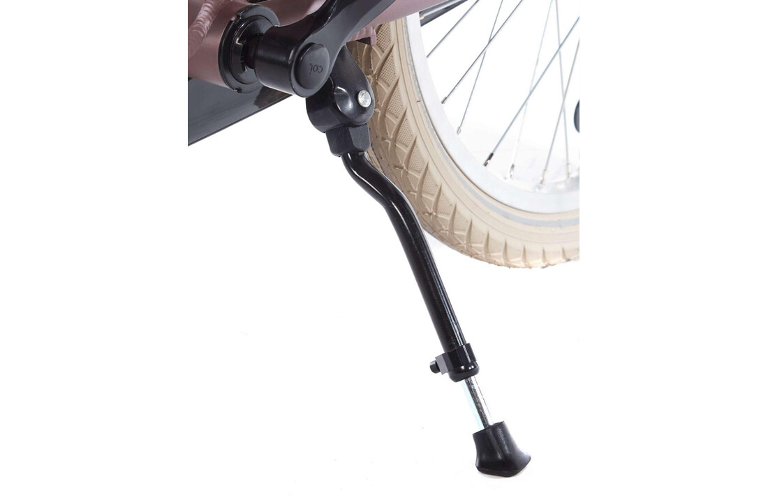 Alpina Cargo meisjesfiets 20 inch - Wood Rose Matt