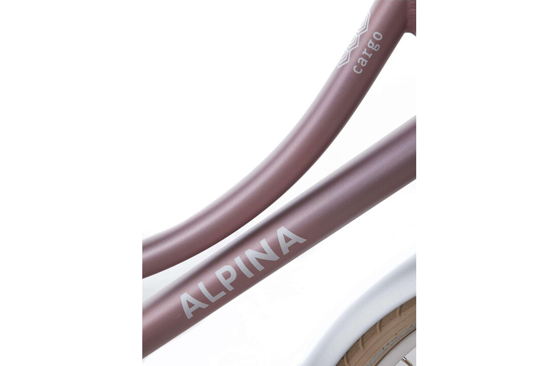 Alpina Cargo meisjesfiets 20 inch - Wood Rose Matt