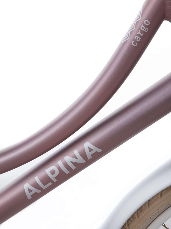 Alpina Cargo meisjesfiets 20 inch - Wood Rose Matt