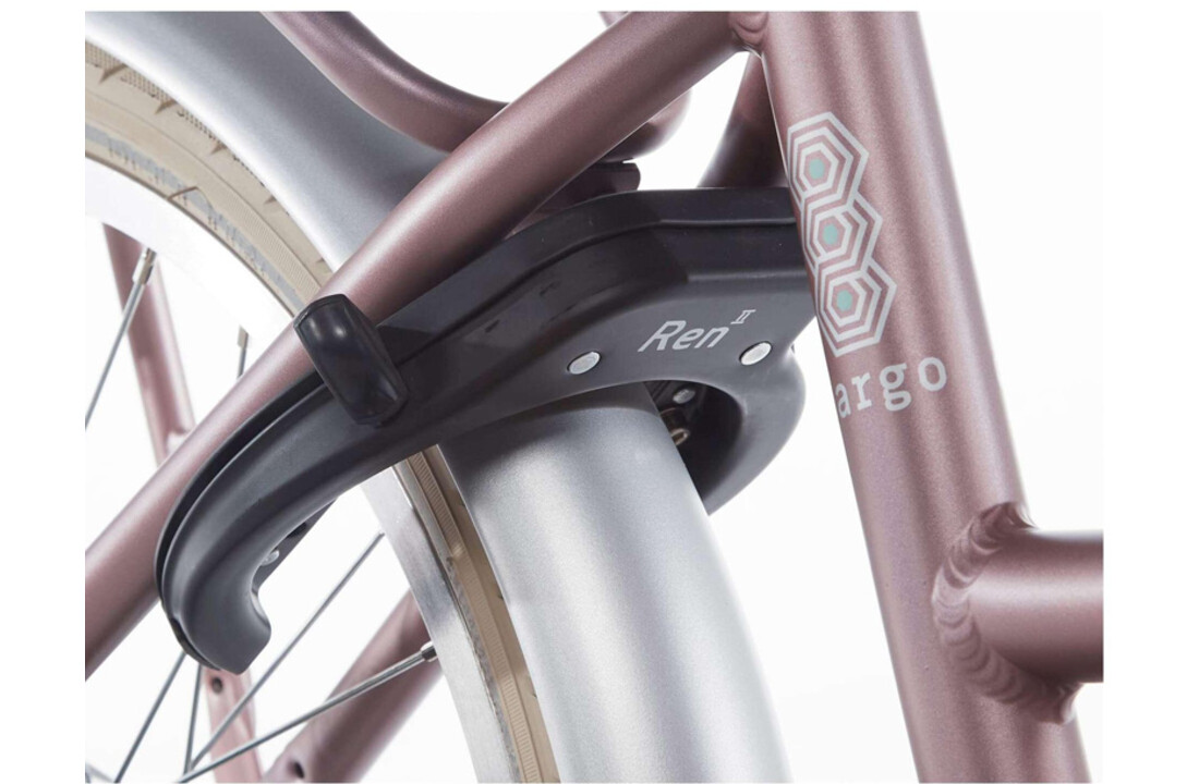 Alpina Cargo meisjesfiets 20 inch - Wood Rose Matt