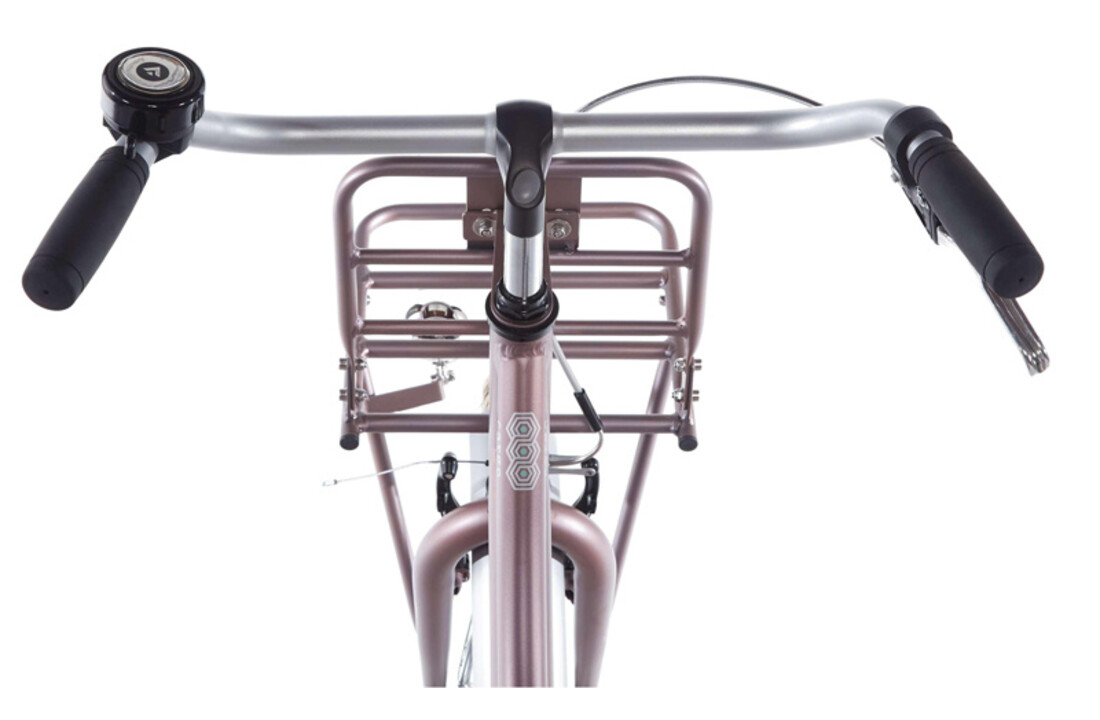 Alpina Cargo meisjesfiets 20 inch - Wood Rose Matt