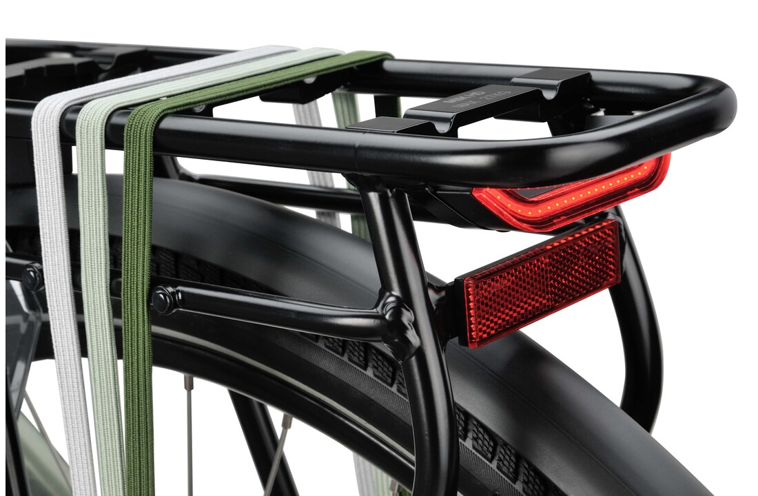 Batavus Senz Comfort DN7 dames - palegreen