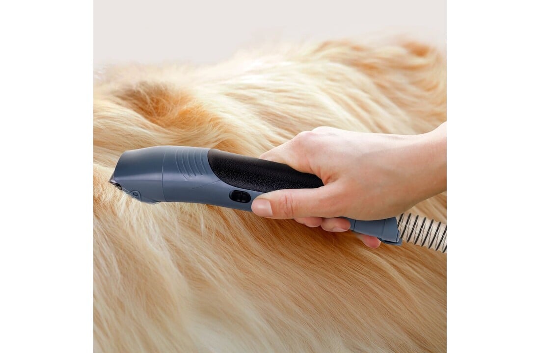 Ufesa PetBuddy Groom