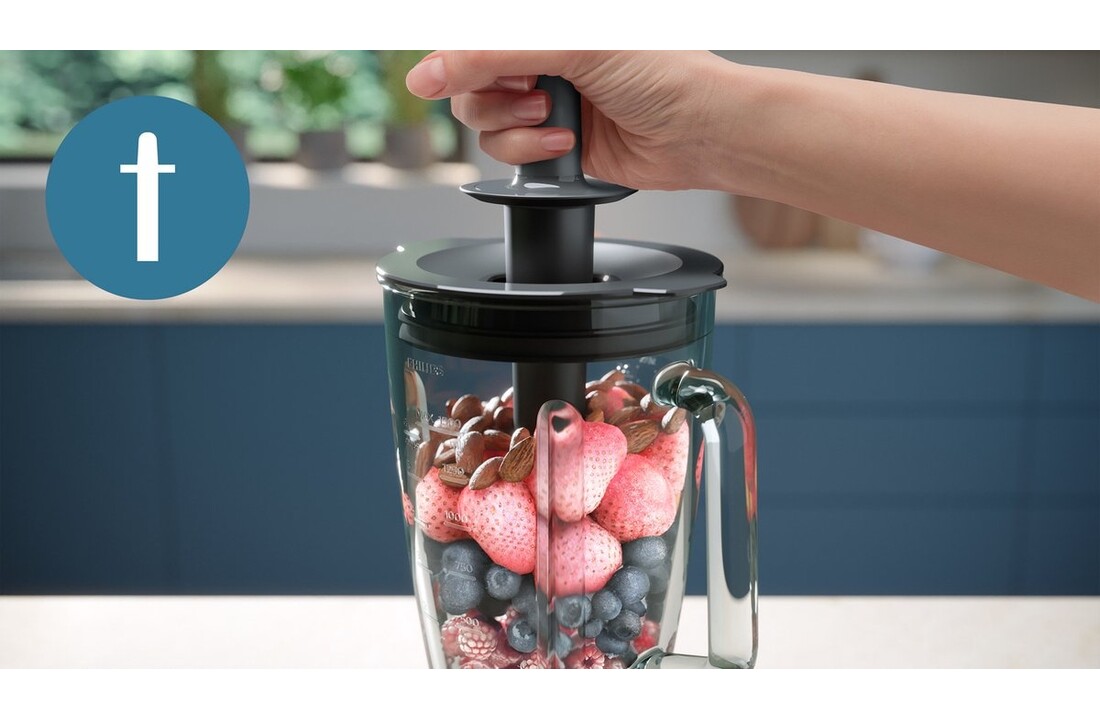 Philips Series 5000 HR3030/00 - Blender
