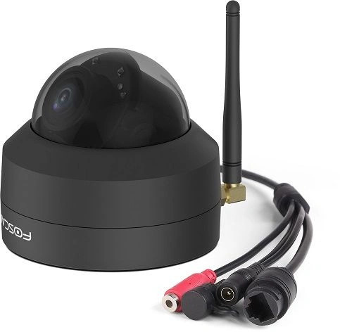 Foscam D4Z - Beveiligingscamera