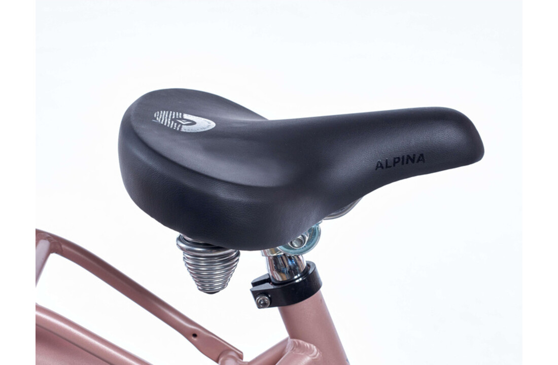 Alpina Clubb meisjesfiets 24 inch Desert Pink Matt R3