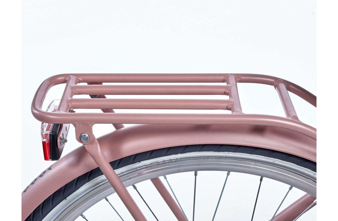 Alpina Clubb meisjesfiets 24 inch Desert Pink Matt R3