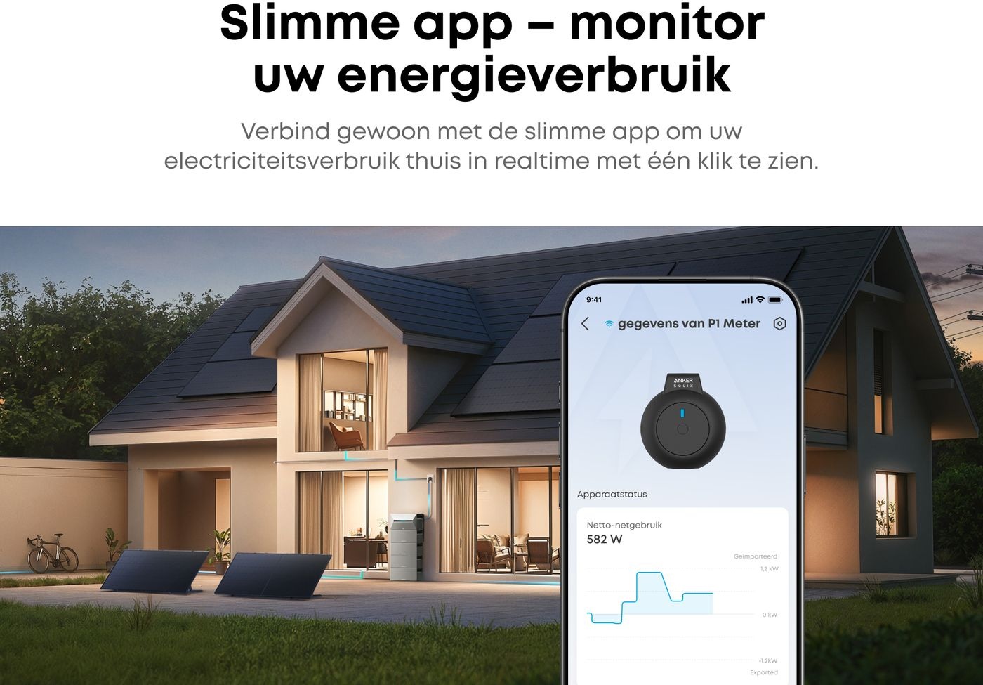 Anker SOLIX P1 Meter