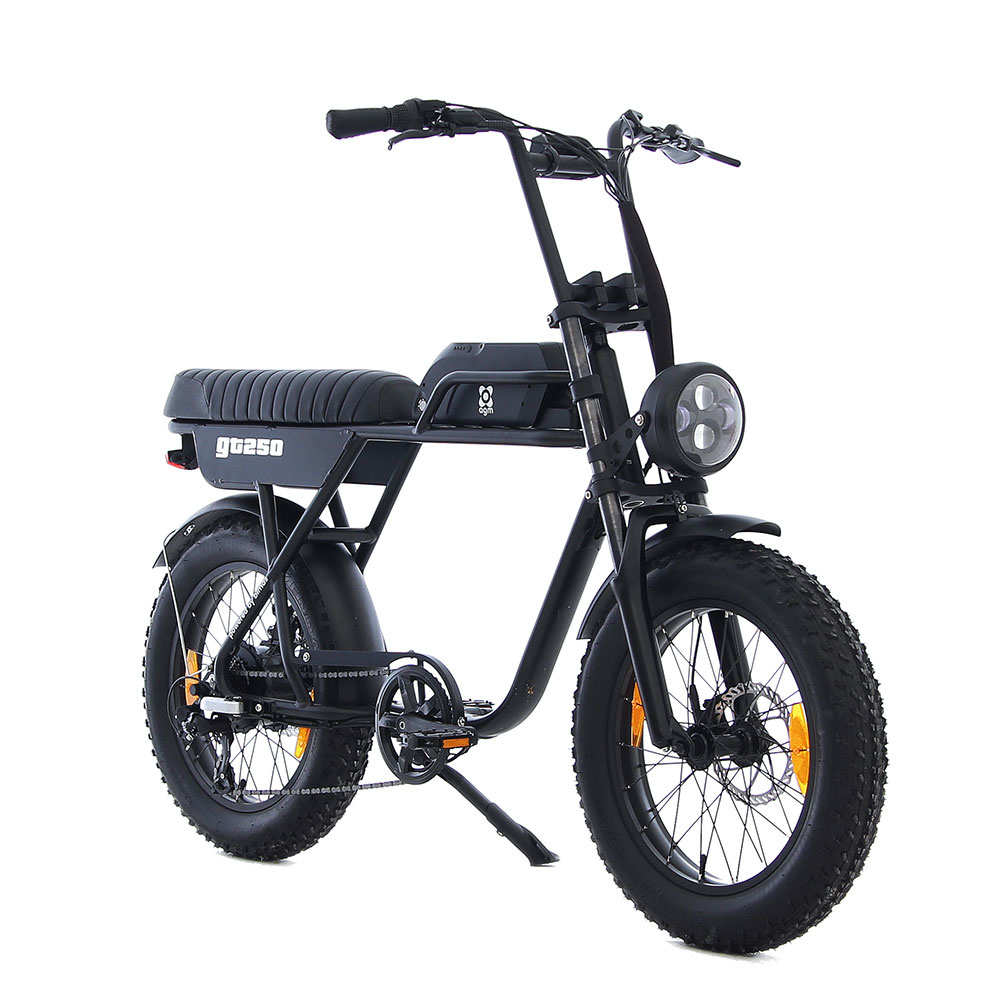 AGM Fatbike GT250 Elektrische fiets 614 Wh zwart