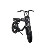 AGM Fatbike GT250 Elektrische fiets 614 Wh zwart