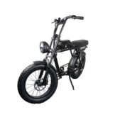 AGM Fatbike GT250 Elektrische fiets 614 Wh zwart