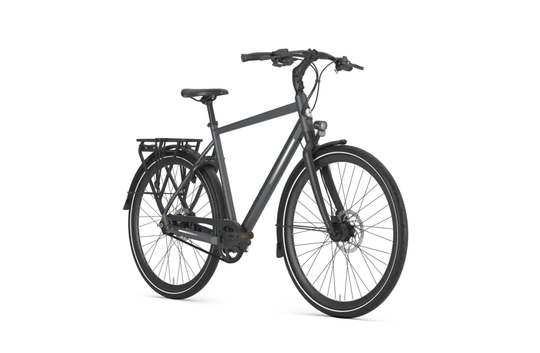 Gazelle Chamonix S11 Heren - Cloud Grey (mat)