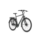 Gazelle Chamonix S11 Heren - Cloud Grey (mat)