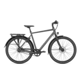 Gazelle Chamonix S11 Heren - Cloud Grey (mat)