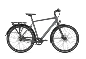 Gazelle Chamonix S11 Heren - Cloud Grey (mat)