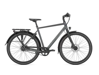 Gazelle Chamonix S11 Heren - Cloud Grey (mat)
