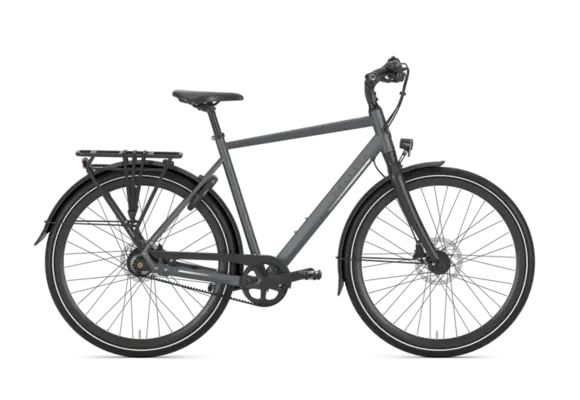 Gazelle Chamonix S11 Heren - Cloud Grey (mat)