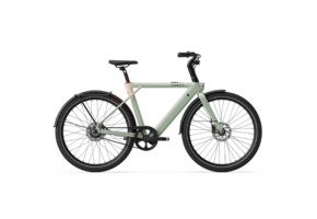 Tenways CGO009 Special Edition E-bike - 374 Wh Heren - Sage Green