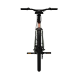 Tenways CGO009 Special Edition E-bike - 374 Wh Heren - Sage Green