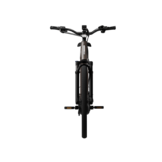 Tenways AGO Performance Bosch Ebike - Walnut Brown