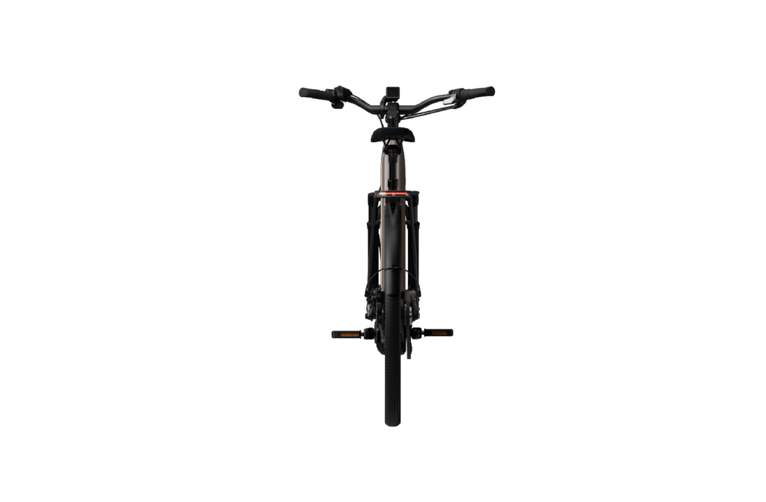 Tenways AGO Performance Bosch Ebike - Walnut Brown