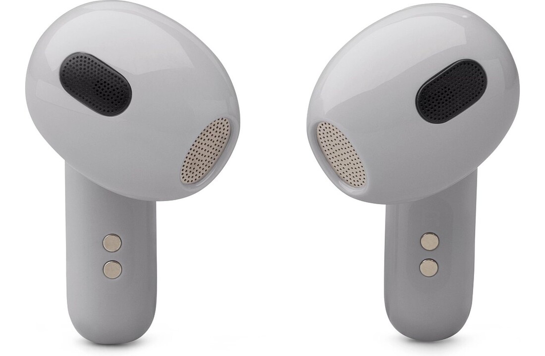 JBL Live 3 Flex Zilver - Draadloze oordopjes
