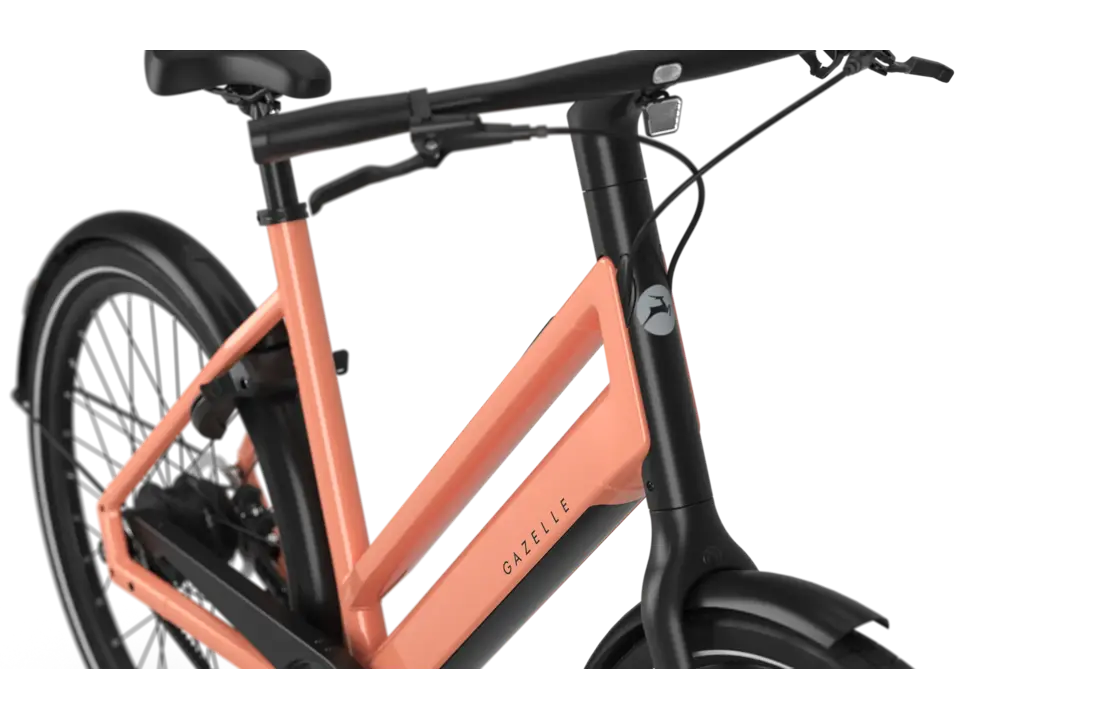 Gazelle Curb C1 S1 360Wh Dames - Soft Peach (glans)
