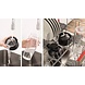 Bosch Bosch VitaPower MMB2111S - Blender Bosch Bosch VitaPower MMB2111S - Blender