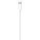 Apple Apple USB?C-naar Lightning kabel (2 meter) Apple Apple USB?C-naar Lightning kabel (2 meter)