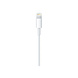 Apple Apple Lightning to USB Cable 1 Meter Apple Apple Lightning to USB Cable 1 Meter