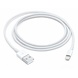 Apple Apple Lightning to USB Cable 1 Meter Apple Apple Lightning to USB Cable 1 Meter