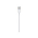 Apple Apple Lightning to USB Cable 1 Meter Apple Apple Lightning to USB Cable 1 Meter