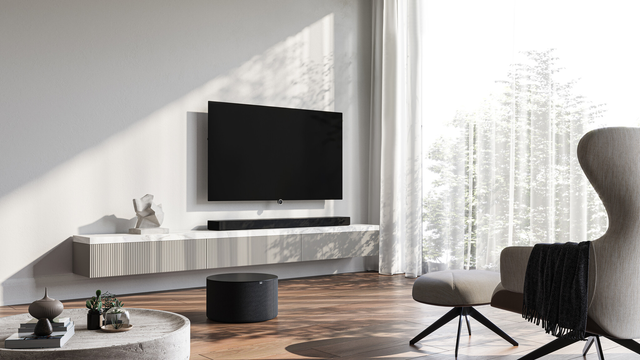 Loewe Oled TV Inspire 48