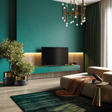 Loewe Oled TV Inspire 48