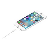 Apple Lightning to USB Cable 1 Meter