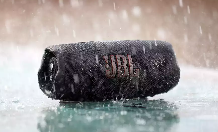JBL Charge 5 Zwart - Draadloze speaker