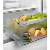 Liebherr CNd 5204-22 - Koel-vriescombinatie