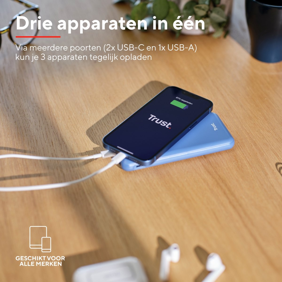 Trust Redoh Fast 10.000 mAh Blauw - Powerbank