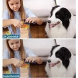 Eufy Indoor Cam 2K Pan & Tilt - Beveiligingscamera