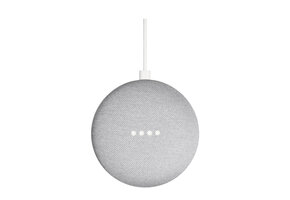 Google Nest Mini (Chalk) - Draadloze speaker