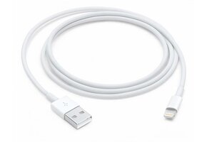 Apple Lightning to USB Cable 1 Meter