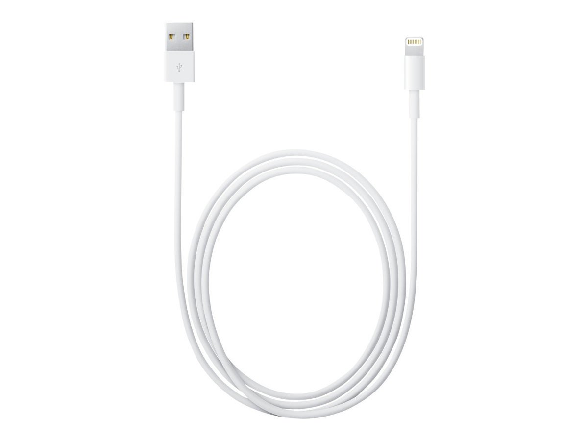 Apple Lightning to USB Cable 1 Meter